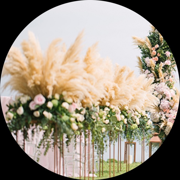 Meet the Posher Other - Meet your Posher, Anngie